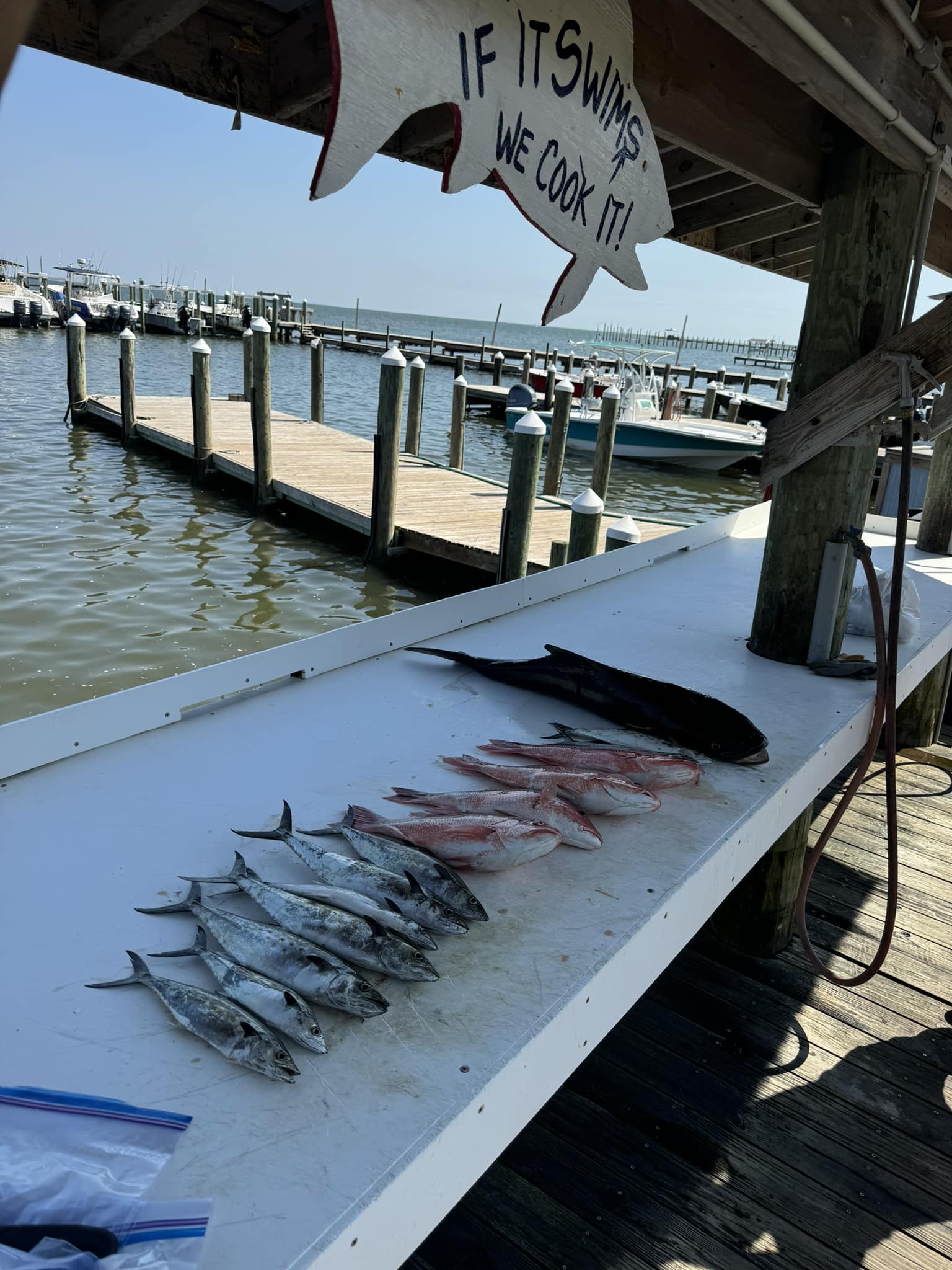 AL State Water Fishing